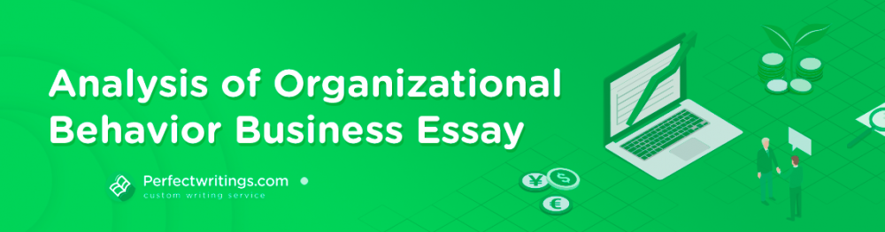 Business Essay