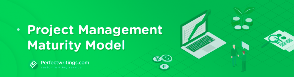 Project Management Maturity Model